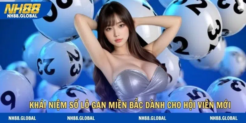 Khái niệm số lô gan miền bắc dành cho hội viên mới